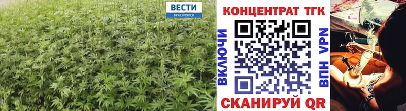 сайты даркнета официальный сайт  Инсар  ТГК жижа 