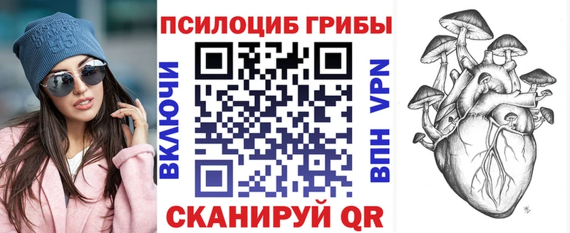Псилоцибиновые грибы прущие грибы  Инсар 